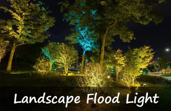 Flood Rise Lighting From Drab to Dramatic: How to Use Flood Lights to Create a Stunning ...