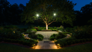 Artistic landscape lighting, garden lighting ideas, creative outdoor lighting