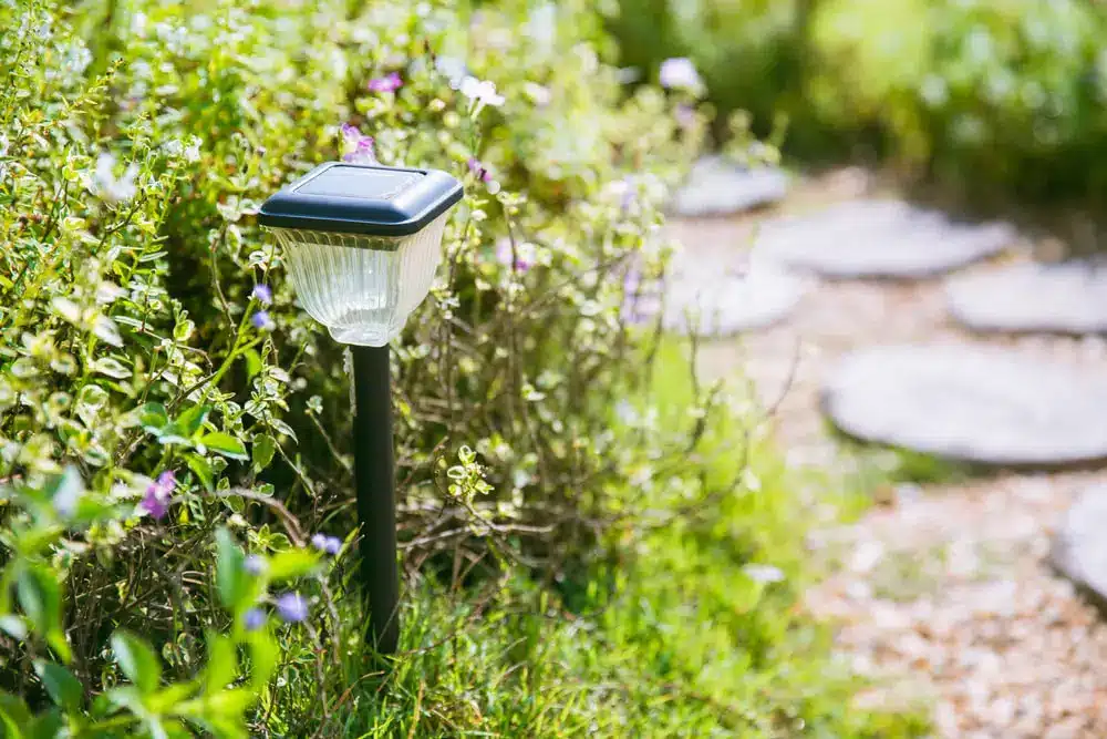 Energy Efficient Landscape Lighting
