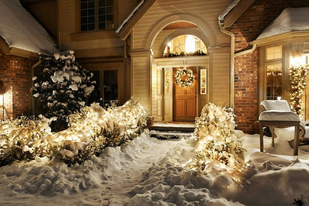 winter landscape lighting