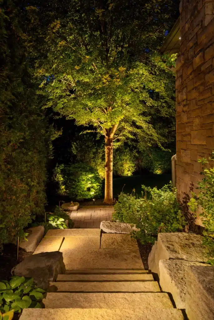  Landscape Lighting for Steep Slopes