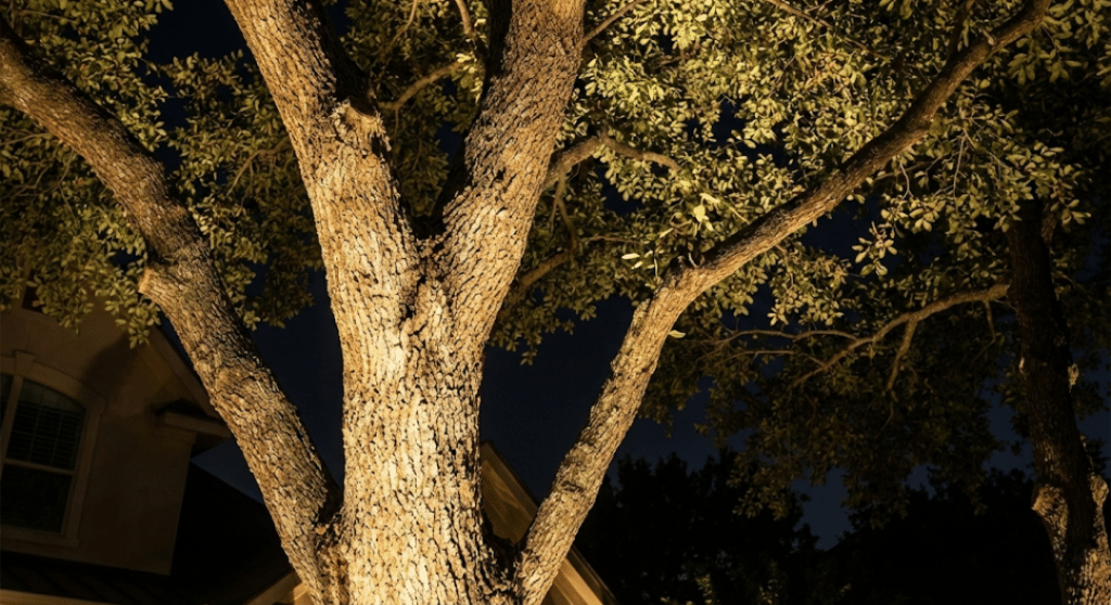 Outdoor Landscape Lighting Ideas